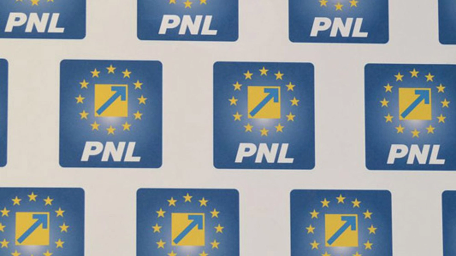 Ieșire nervoasă din PNL: Sorin Grindeanu e un laș. Vreau să devină premier, să ne arate ce poate