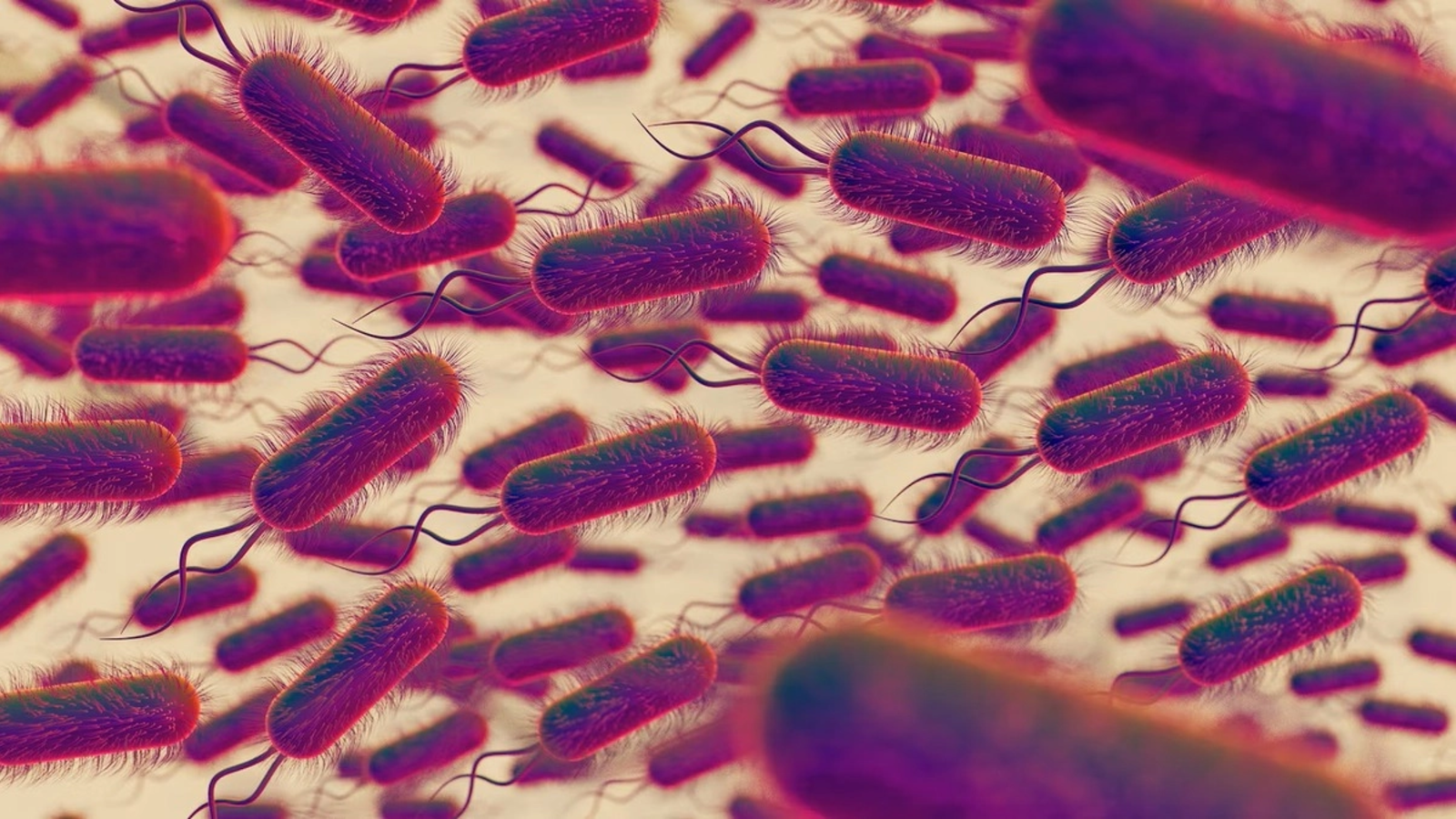 Focarul colectiv de Salmonella înregistrat luna trecută la 29 de copii și un cadru didactic la o școală din Oradea nu a avut cauze alimentare
