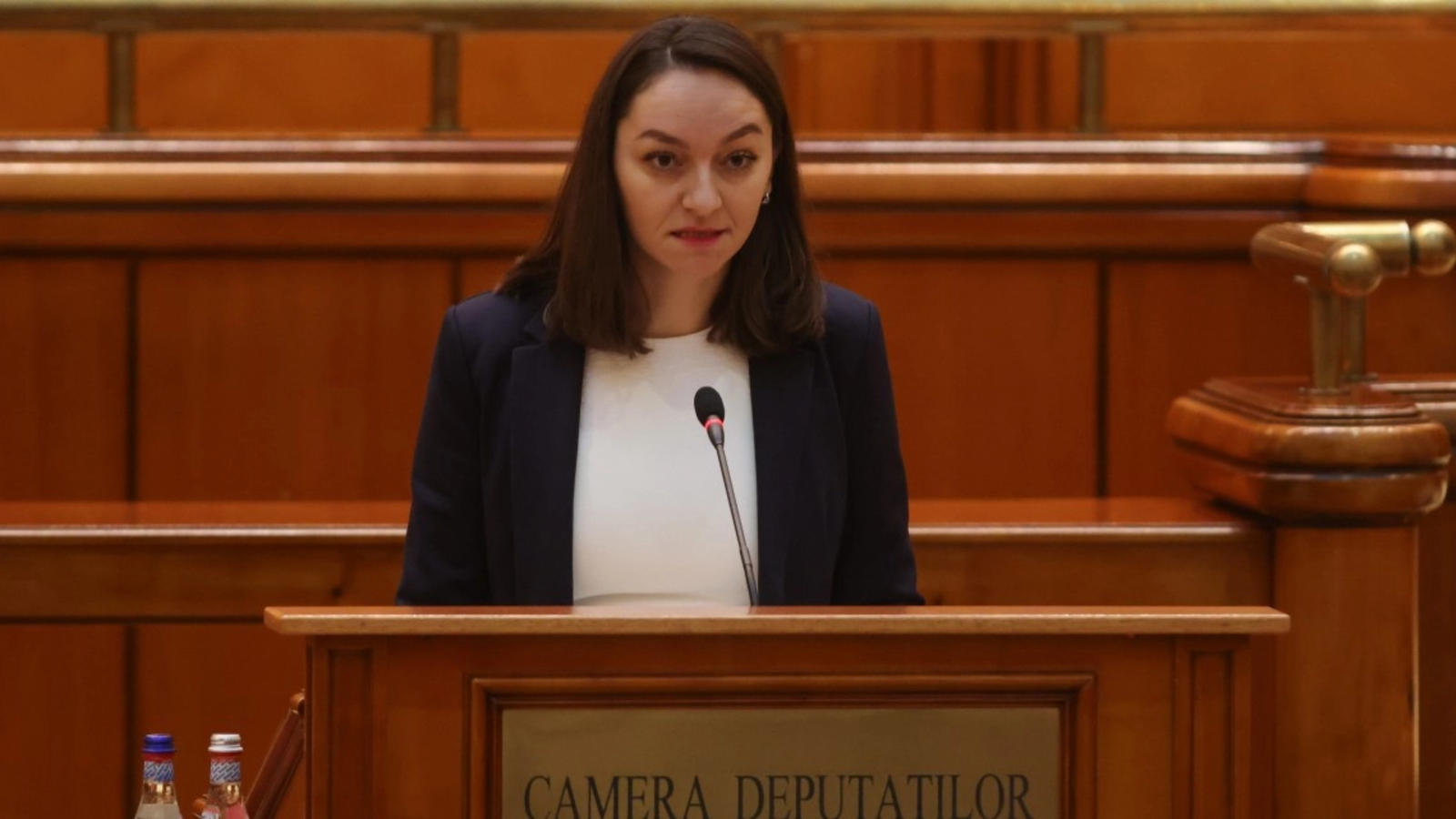 POT sesizează CCR: Anamaria Gavrilă se delimitează de noua structură în care a intrat și Victor Ponta