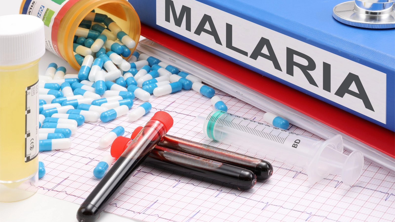Managerul Spitalului de Boli Infecţioase din Capitală: Sunt diagnosticate lunar cel puţin 5-6 cazuri de malarie