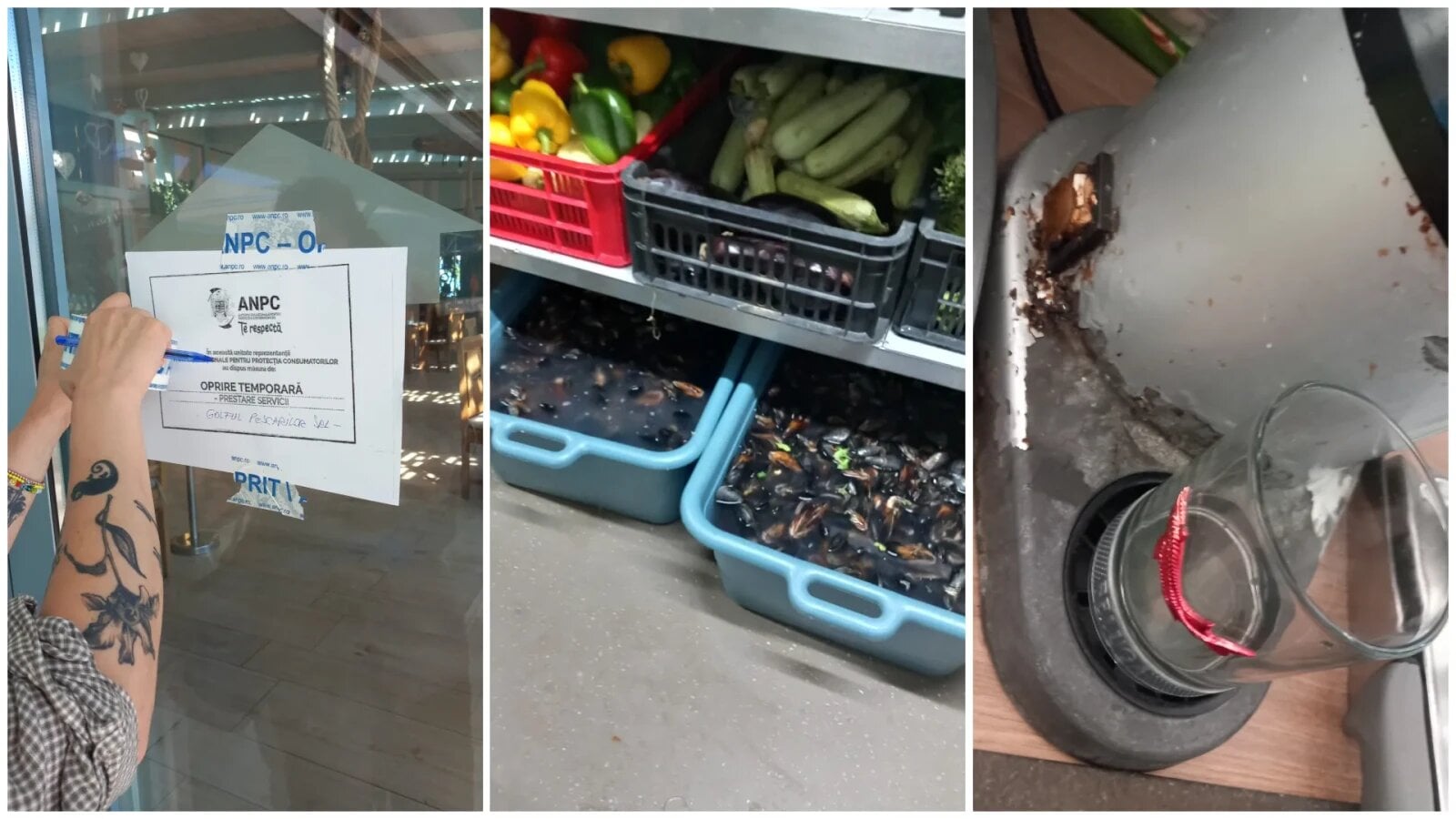 VIDEO Unul dintre cele mai cunoscute restaurante pescărești de pe litoral, închis de Protecția Consumatorilor după o reclamație de toxiinfecție alimentară