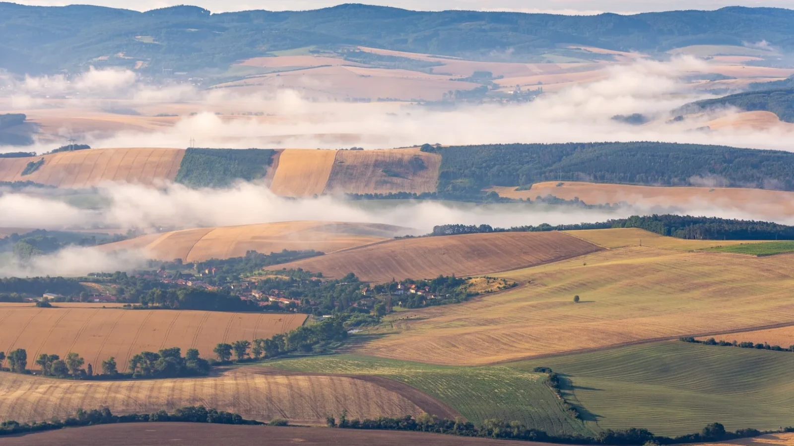 Mai puțini fermieri, mai mult pământ: APIA închide campania 2026 cu aproape 10 milioane de hectare la plată